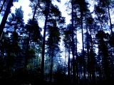 Tn IMG 1414